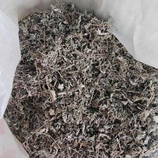 野生藤茶又名白茶