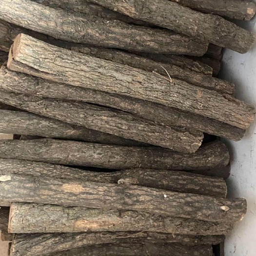 神农架葡萄牙软木树干
