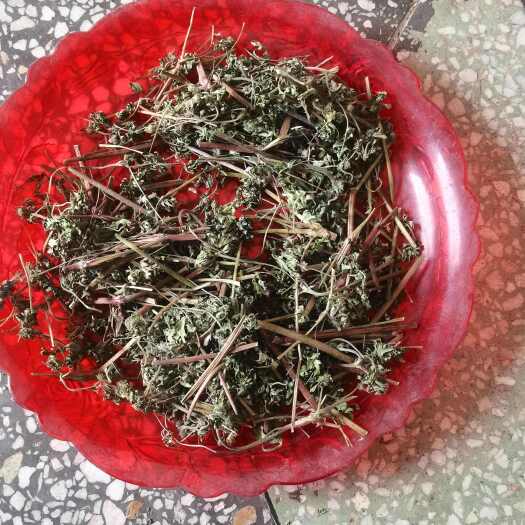 襄樊湖北襄阳产道地老鹳草全草中药材现货行情批发供应