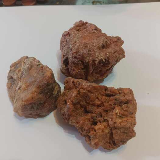 杭州供应中东阿魏