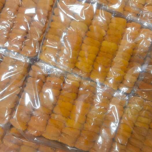 大连海胆批发