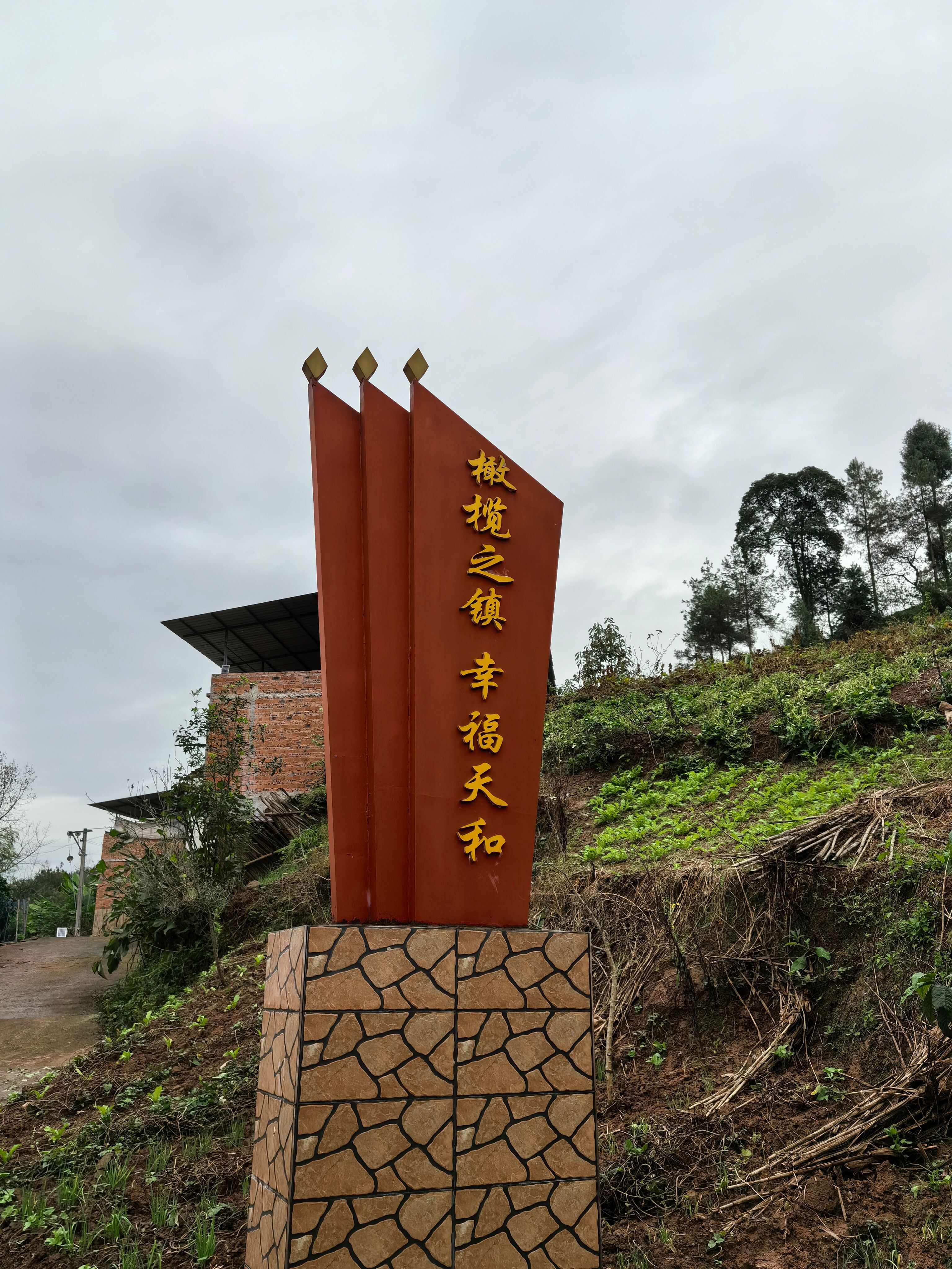 初榨橄榄油