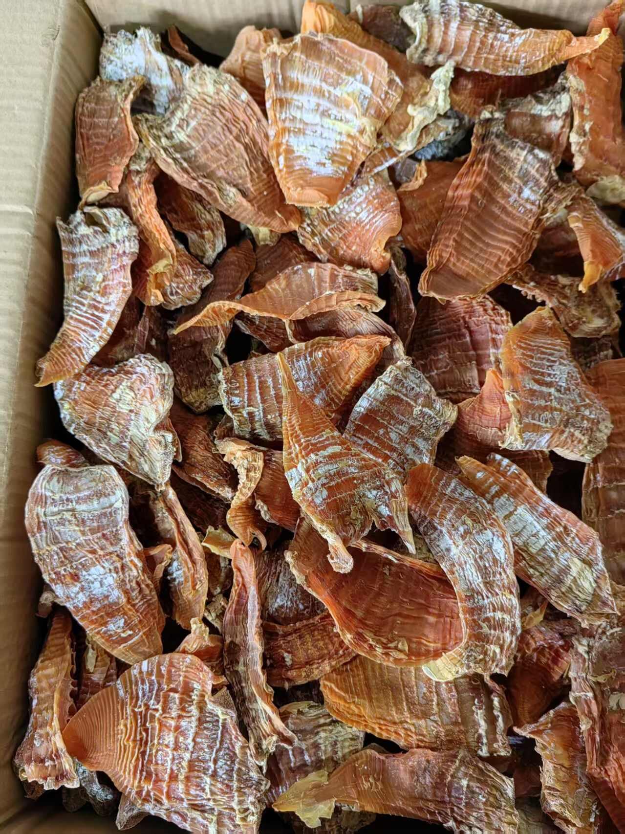 野生高山火烤笋尖，囗感脆嫩香