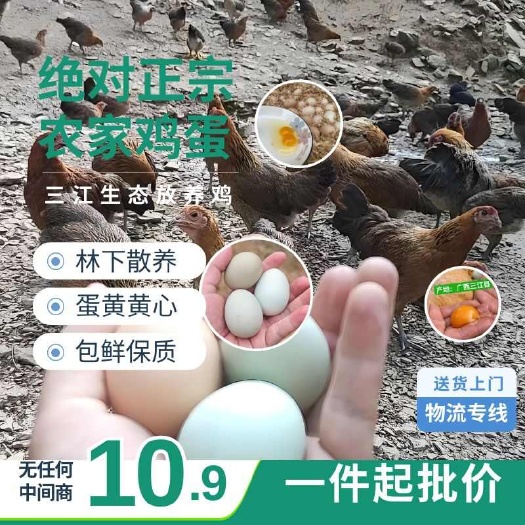 三江县南宁土鸡蛋_三江县林下散养鸡场现货_鸡蛋包鲜保质保量_长期供