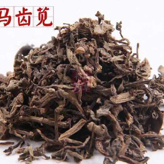 内乡县地头菜野菜马齿苋