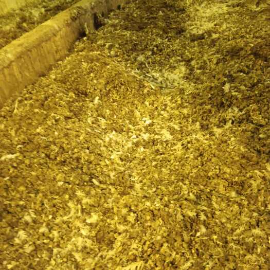 光泽县大量出售有机肥鸡鸭粪羊粪。发酵过的，没发酵的都有。