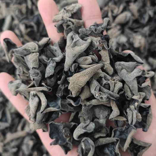 鲁山县精品黑木耳干货批发小碗耳肉厚无根摆摊展销会秋木耳批发商超电商