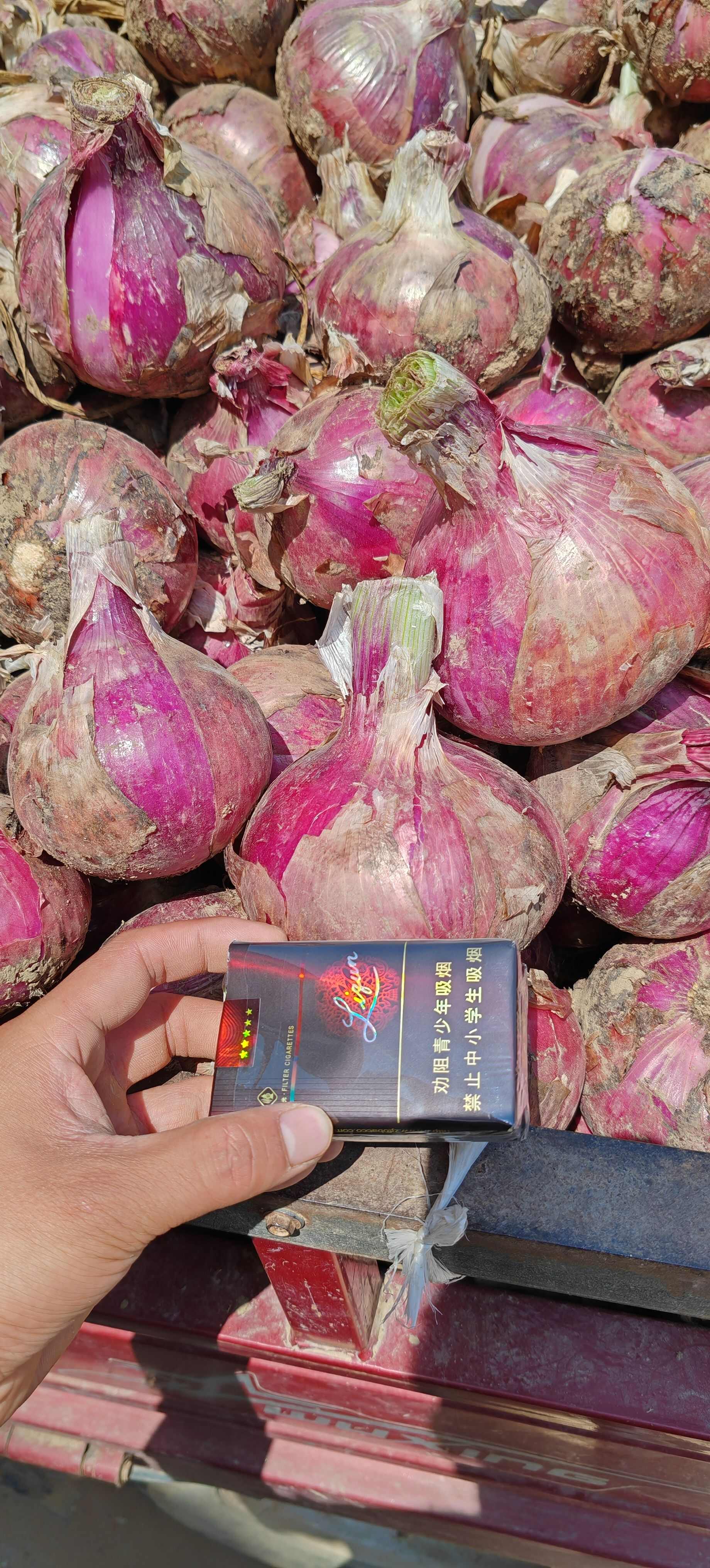 河南开封新鲜红皮洋葱 品质优选 耐储存 易运输 批发零售