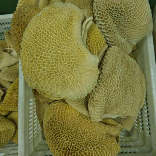 西华县微发金钱肚，纯干货，