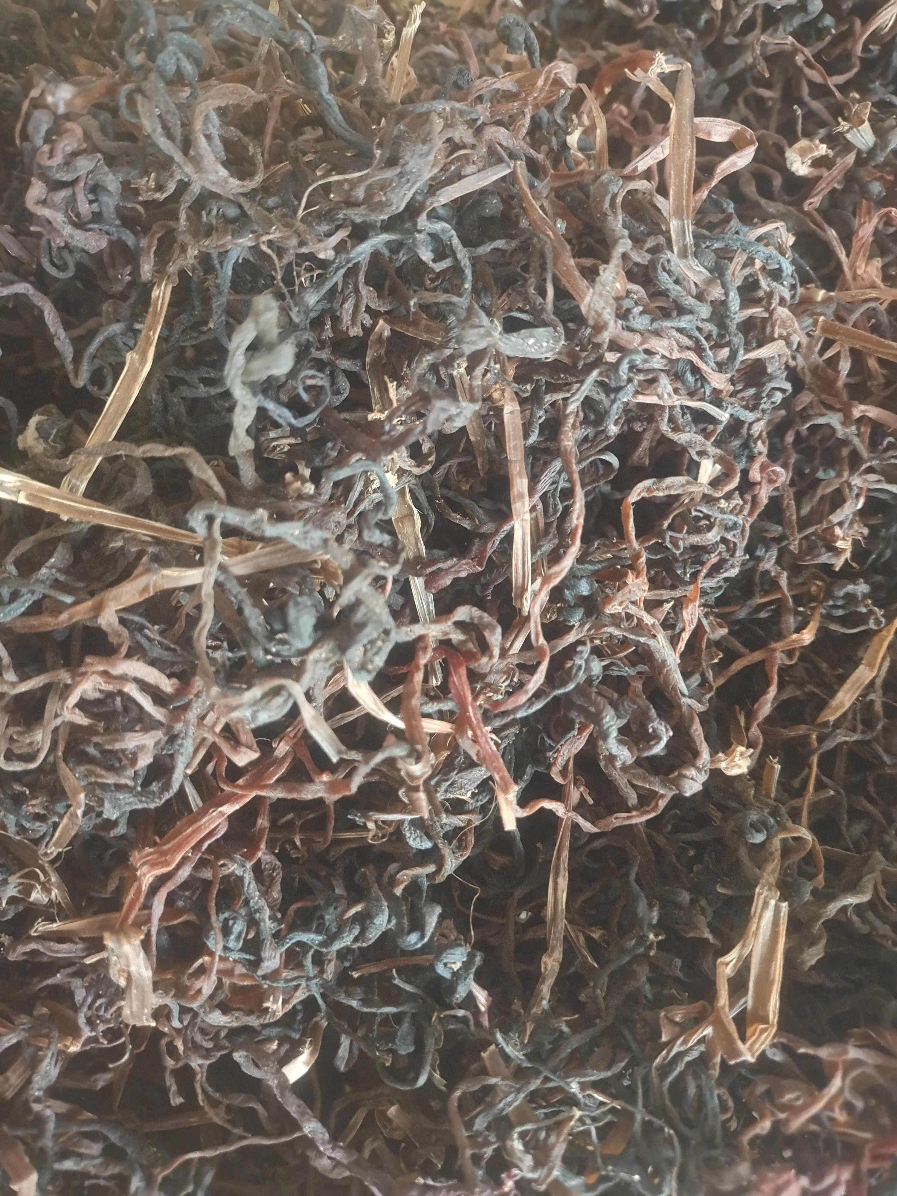 微菜，薇菜干，牛毛广，野生蔬菜