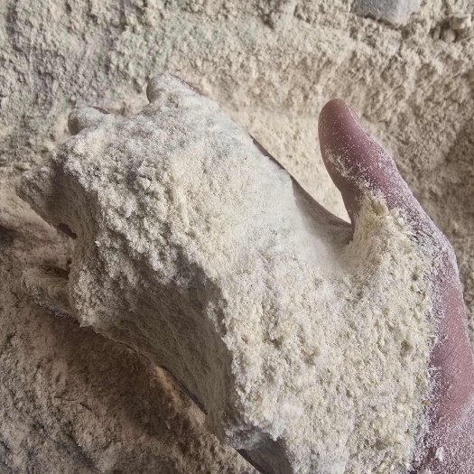 烘干黄豆壳出售