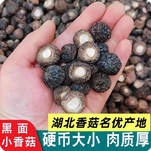 随县【黑面香菇】香菇干香菇肉厚冬菇黑面香味香菇原产地批发香菇干货