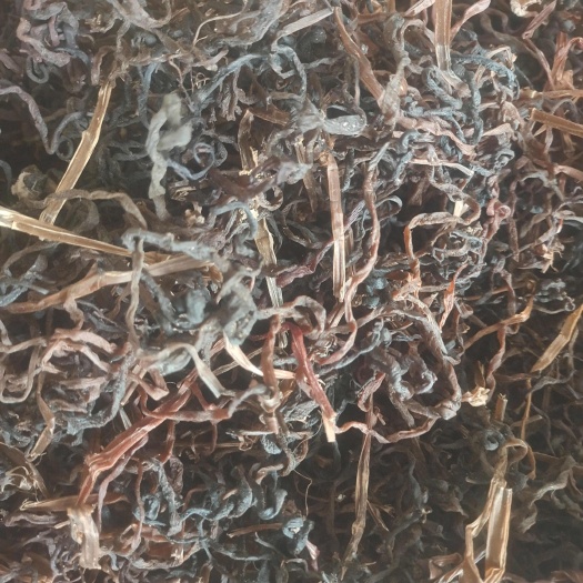 薇菜，蔬菜，牛毛广，野生
