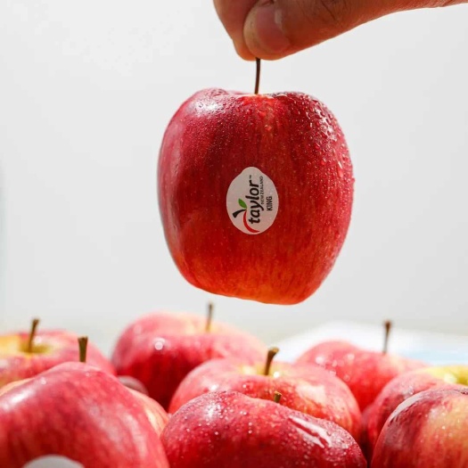 广州2025年新西兰红玫瑰苹果Queen皇后新鲜水果脆甜多汁