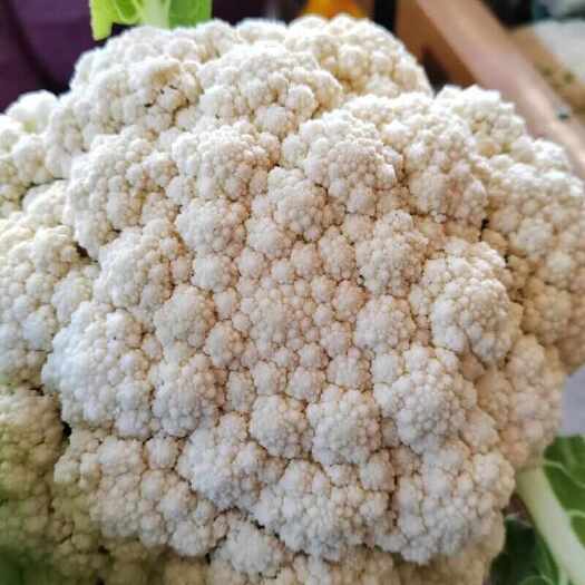 邳州市小米菜花
