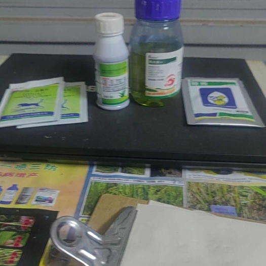 新干县三江乙羧·高氟吡+风火龙+乙草胺游草小飞蓬水花生等杂草克星