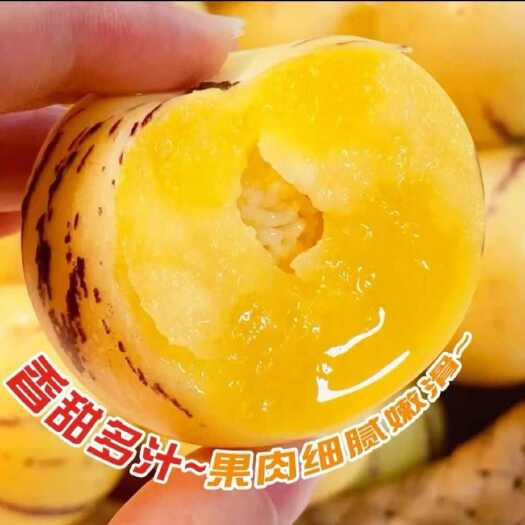 弥勒市人参果（树熟果） 圆果黄肉现采现发花皮人参果到手5斤中果！