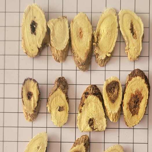 陇西县甘肃纯正源头黄芪切片
