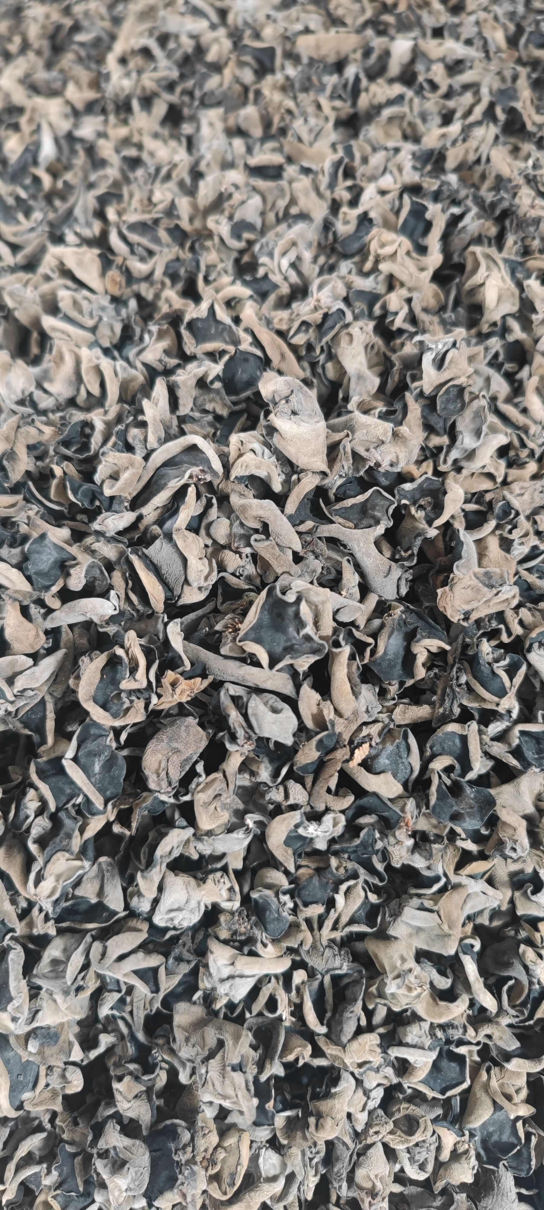 【無增重 高泡發(fā)率】東北黑木耳干貨批發(fā)秋木耳商超電商小碗耳