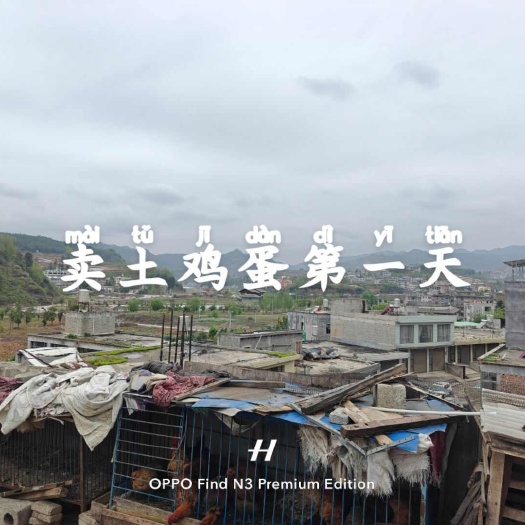 彝良县土鸡蛋，欢迎打假