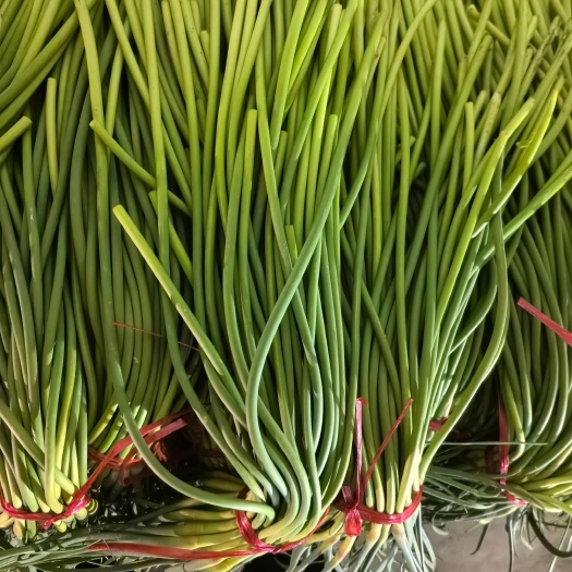 红帽蒜薹