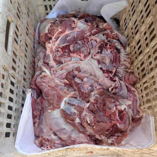 巨野县羊肉，羊肉，精修，