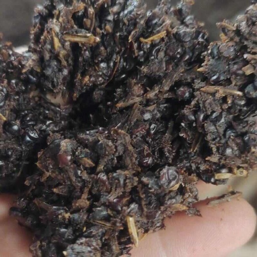 仁怀市茅台镇湿酒糟