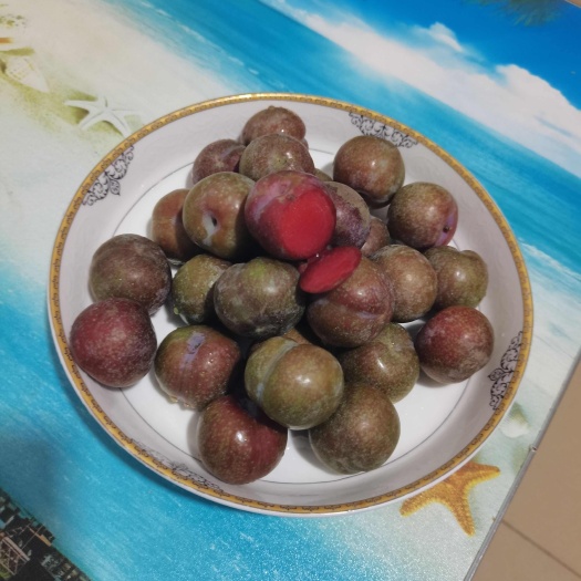 永福县广西三华李