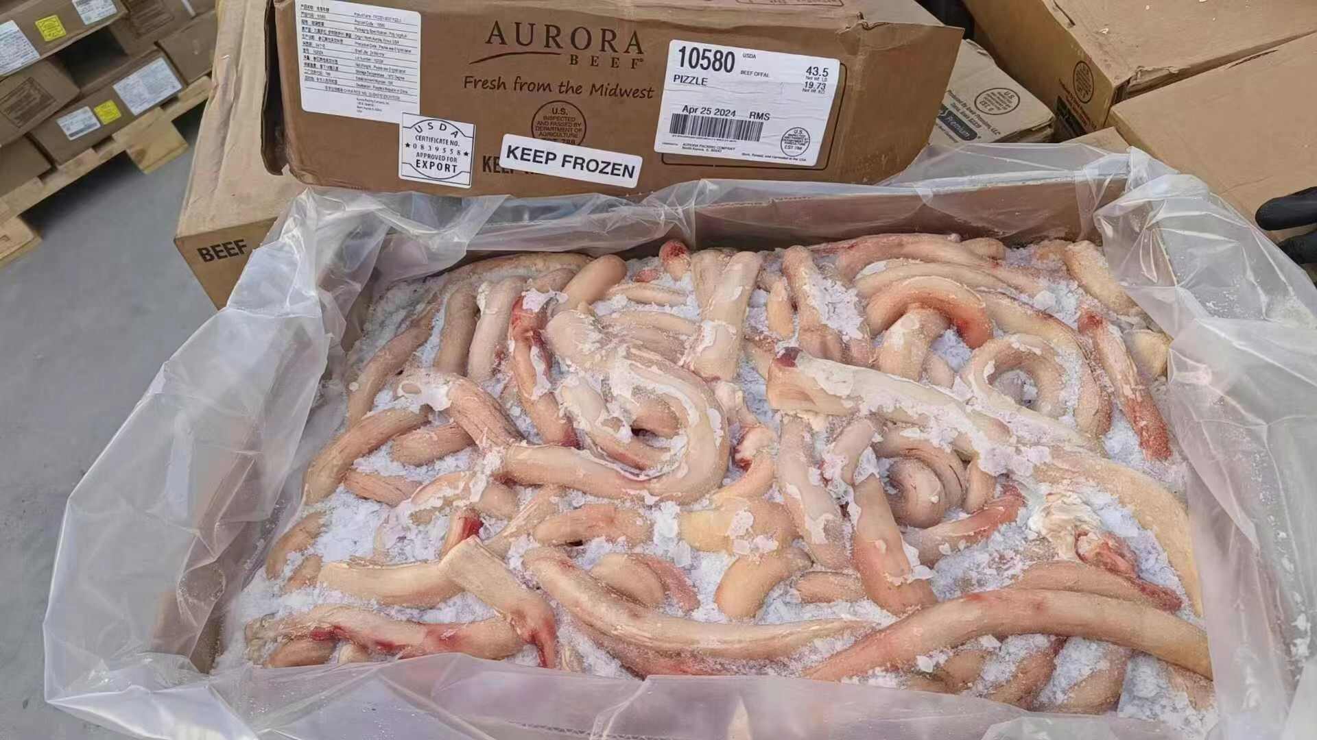 阳信县精修牛鞭新鲜牛宝供应 牛副产品精选 带食品经营许可资质发货