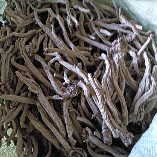 盐源县四川凉山盐源县优质续断中药材根茎类干货批发零售