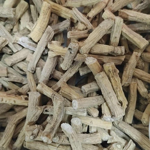 陇西县白条党参