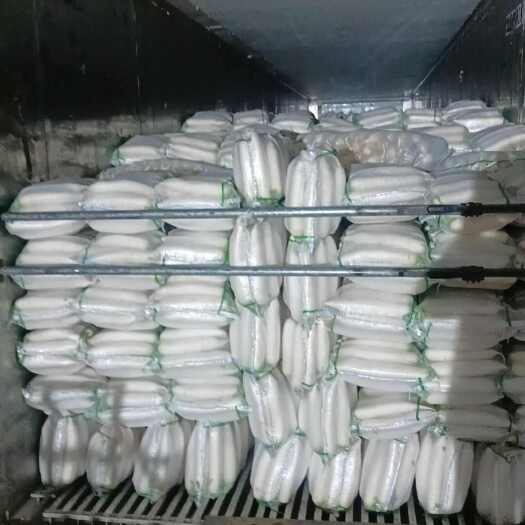 蓬溪县韩国白萝卜精品货
