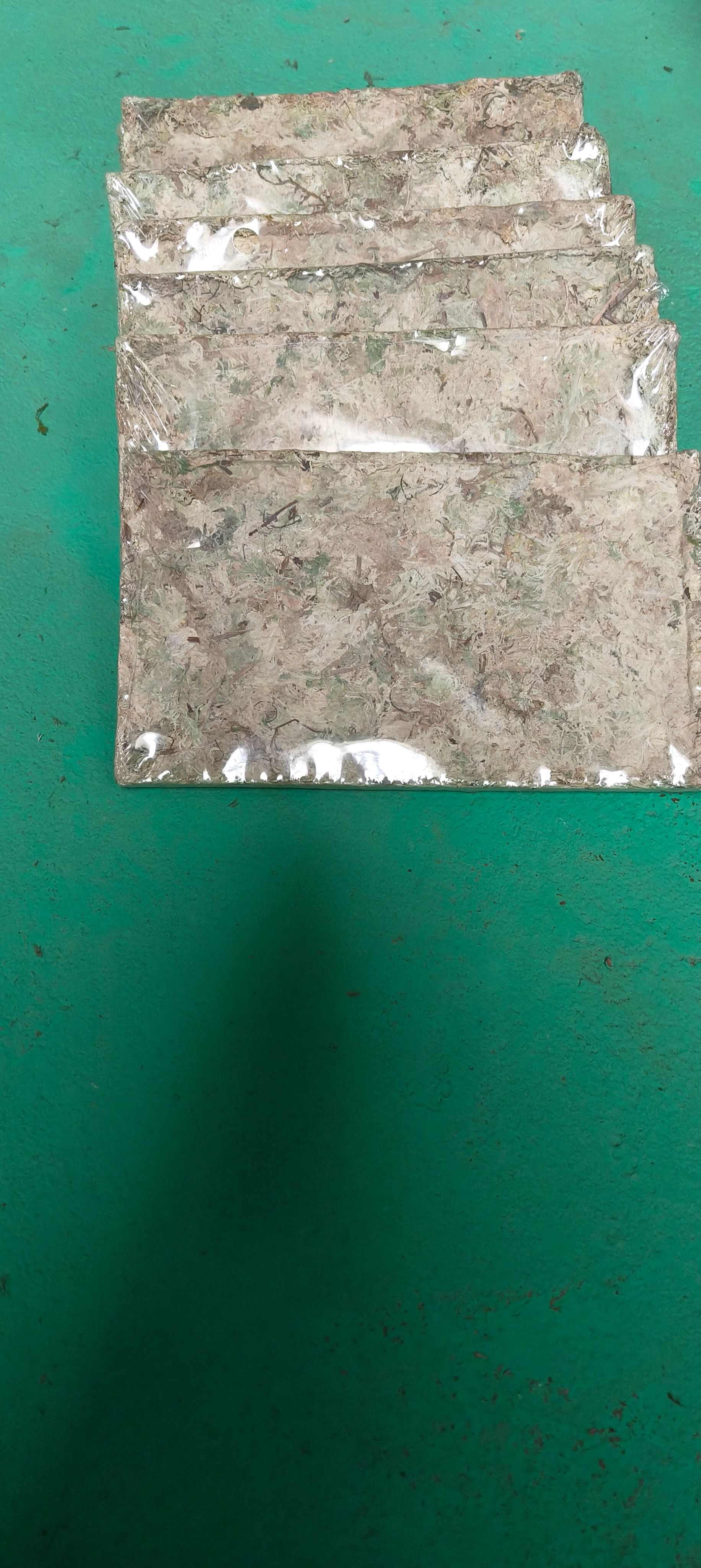 平塘县水苔，青苔欢迎各位老板定制