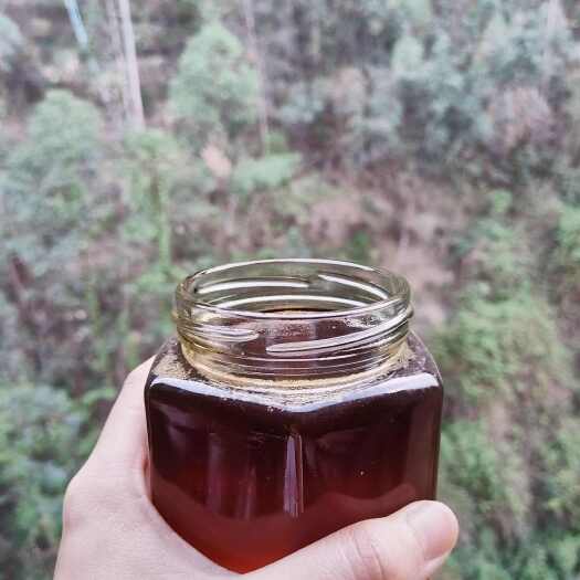 佛山广东佛山优质土蜂蜜 包含龙眼蜜 百花蜜