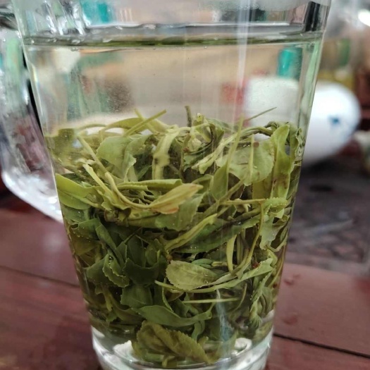 信阳信阳绿茶口粮茶
