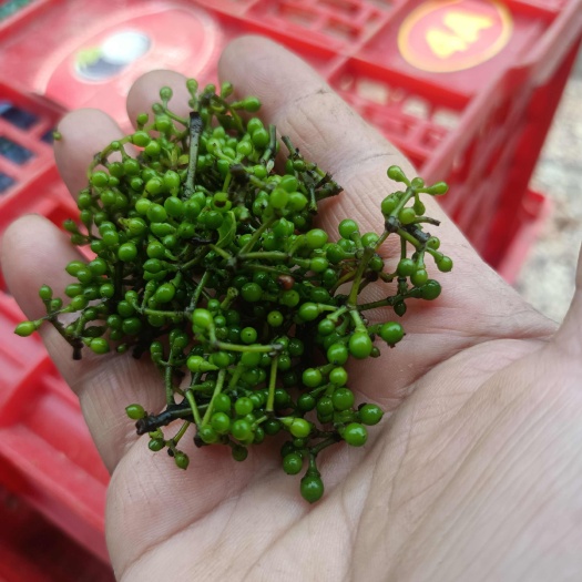 耒阳市各位老板好，野生的山胡椒，山苍子，产新了，量大从优