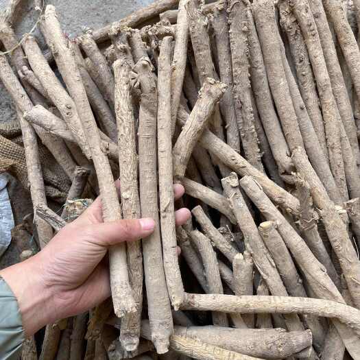 岷县产地黄芪节子500克黄芪棒去头去尾黄芪主根大货批发北芪