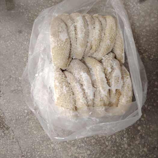 中牟县河南郑州新鲜金钱肚批发 优质牛副产品产地直供