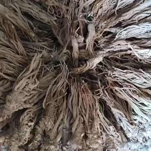 西和县当归