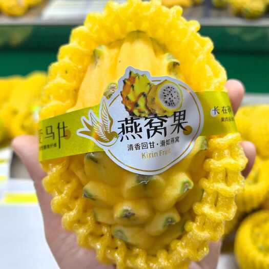 海口燕窝果