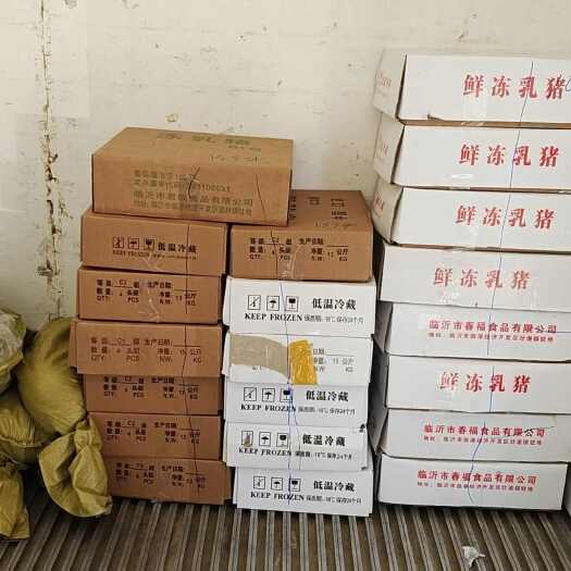 连云港鲜冻乳猪批发，自己公司屠宰场，一手货源