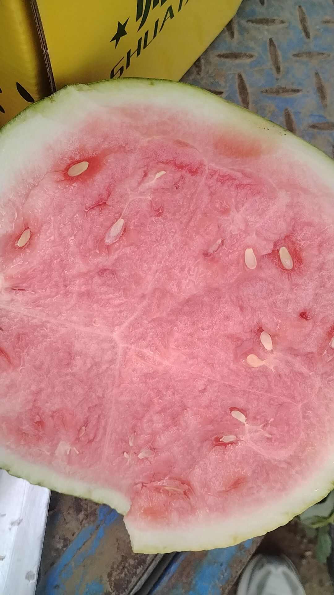 台农无籽美都