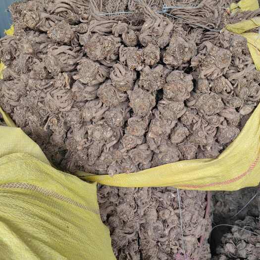 岷县甘肃岷县精品当归，海拔2650原产地直销