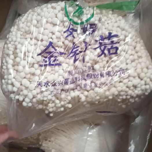 寿光市金针菇，