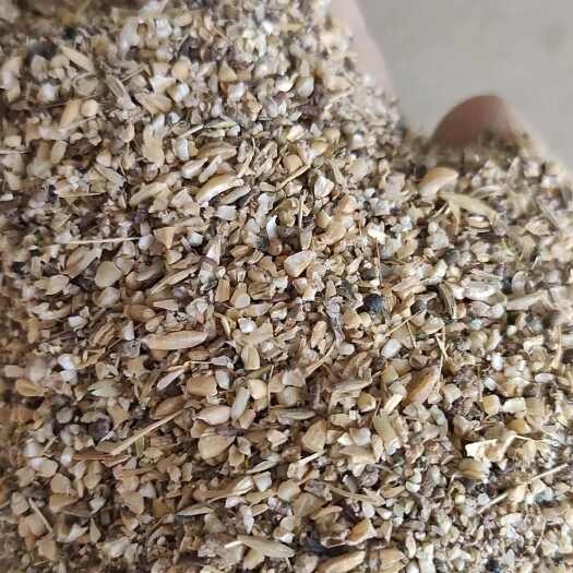 商丘小麦下脚料，碎玉小麦，草籽麦
