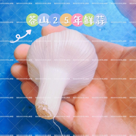 兰陵县山东兰陵大蒜蒜香辣粘稠