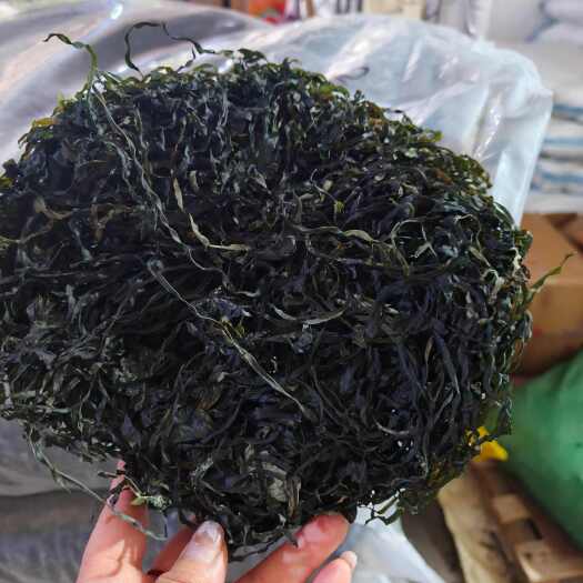 重庆市圈圈海带丝 精品烘干 无盐海带丝 赶集摆摊搞皮产品