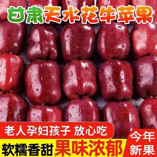 甘肃天水花牛苹果新鲜当季水果刮泥粉面应季红蛇果