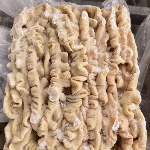 沈阳新鲜猪肠 猪副产品优质货源 直供批发