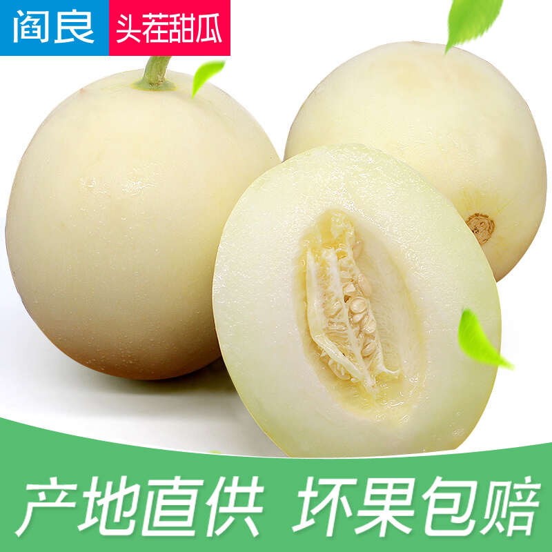 2025陕西阎良甜瓜新鲜香瓜正品当季蜜瓜小籽白瓜整箱现摘